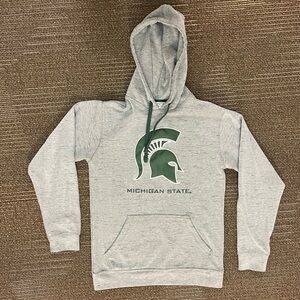 MSU Michigan State Spartan Champion hooded sweatshirt S small gray embroidered